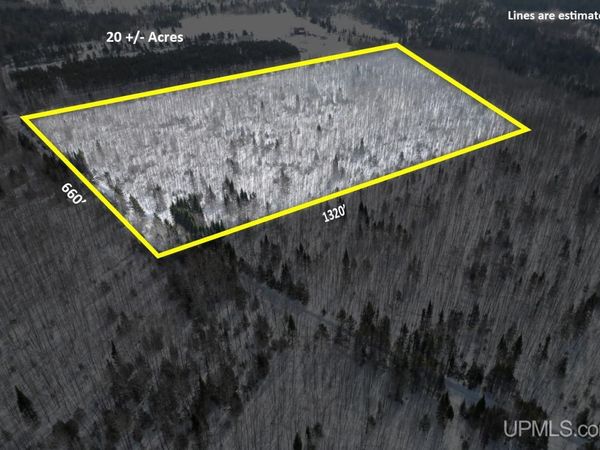 TBD Plantation LN East 20 Lane, Turin Twp, MI 49880