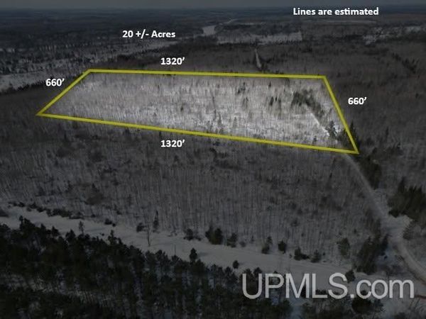 TBD Plantation LN West 20 Lane, Turin Twp, MI 49880