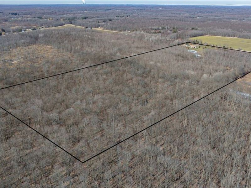 4852 White Road , Rock Creek, OH 44084 Photo 39