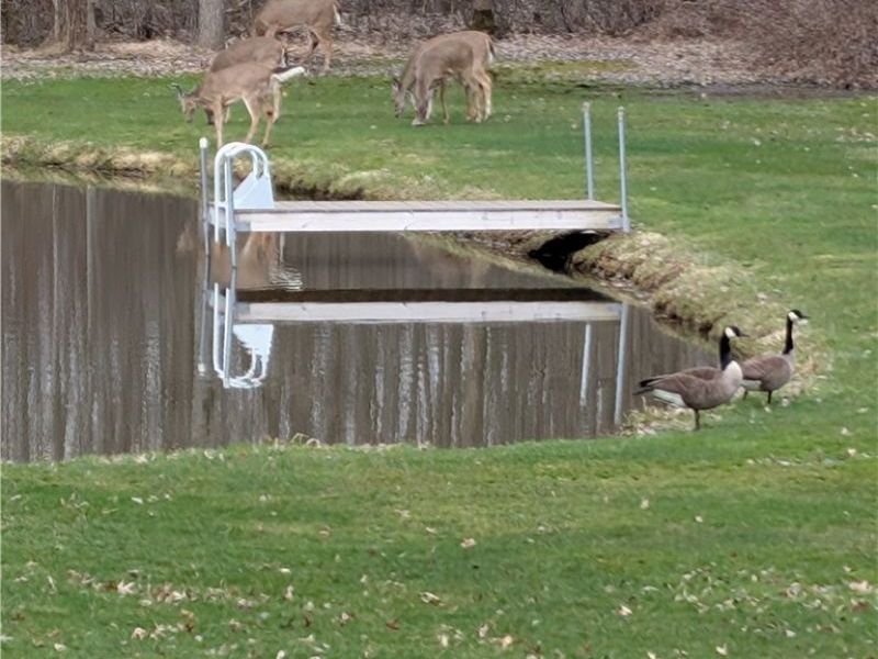 4852 White Road , Rock Creek, OH 44084 Photo 42