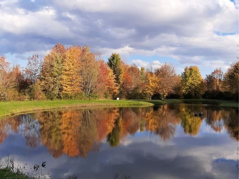 4852 White Road , Rock Creek, OH 44084 Photo 42