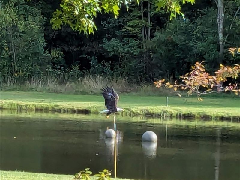 4852 White Road , Rock Creek, OH 44084 Photo 43