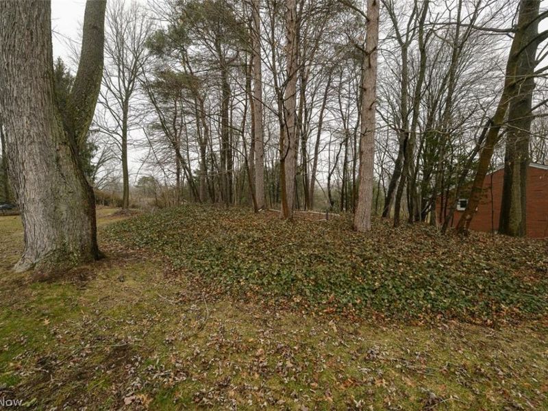 1119 Bachtel Street SE, North Canton, OH 44720 Photo 29