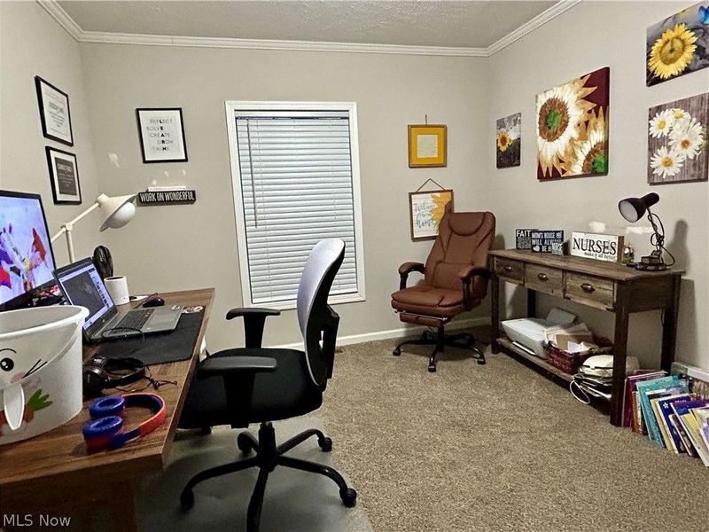 248 Pin Oak Circle, Elyria, OH 44035 Photo 29