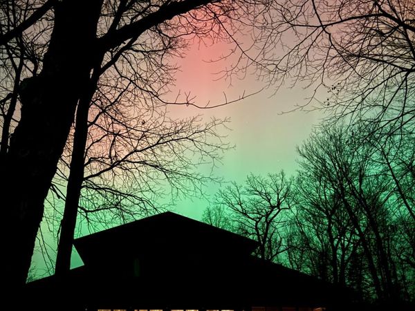 3620 Gryce Styne Road NE, Bemidji, MN 56601