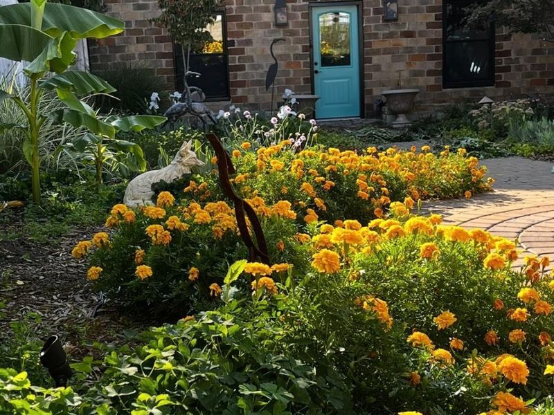 23 N Broadway Street, Lebanon, OH 45036 Photo 42