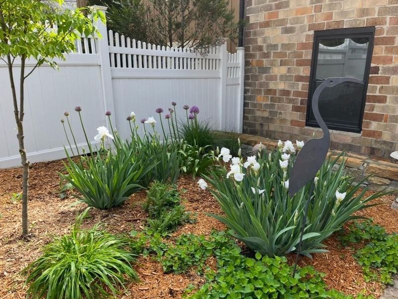 23 N Broadway Street, Lebanon, OH 45036 Photo 43