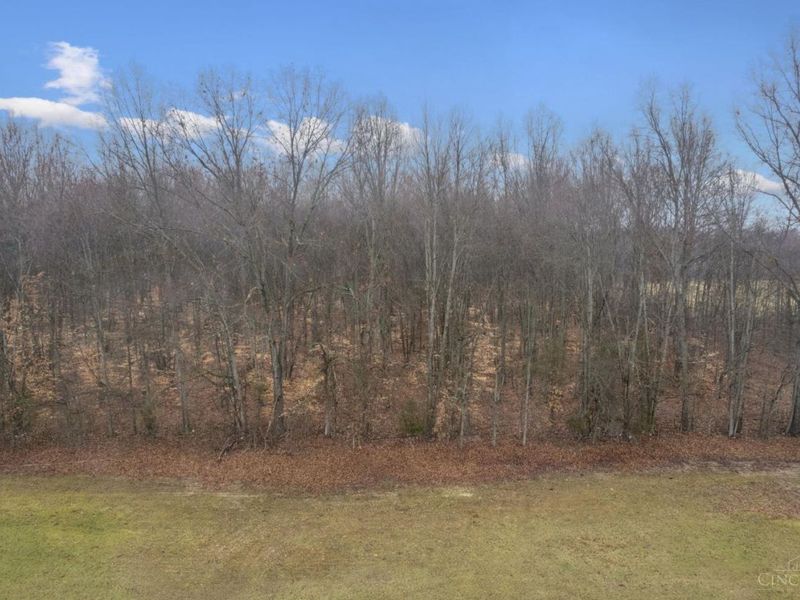 2471 47 Club Rd, Lewis Twp, OH 45130 Photo 46