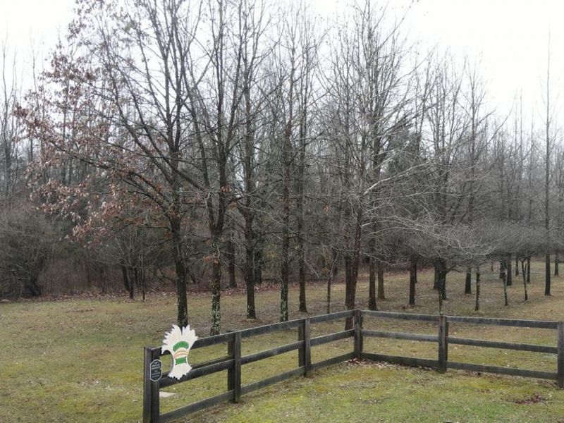 1 Merwin Farms Lane, Pierce Twp, OH 45157 Photo 11