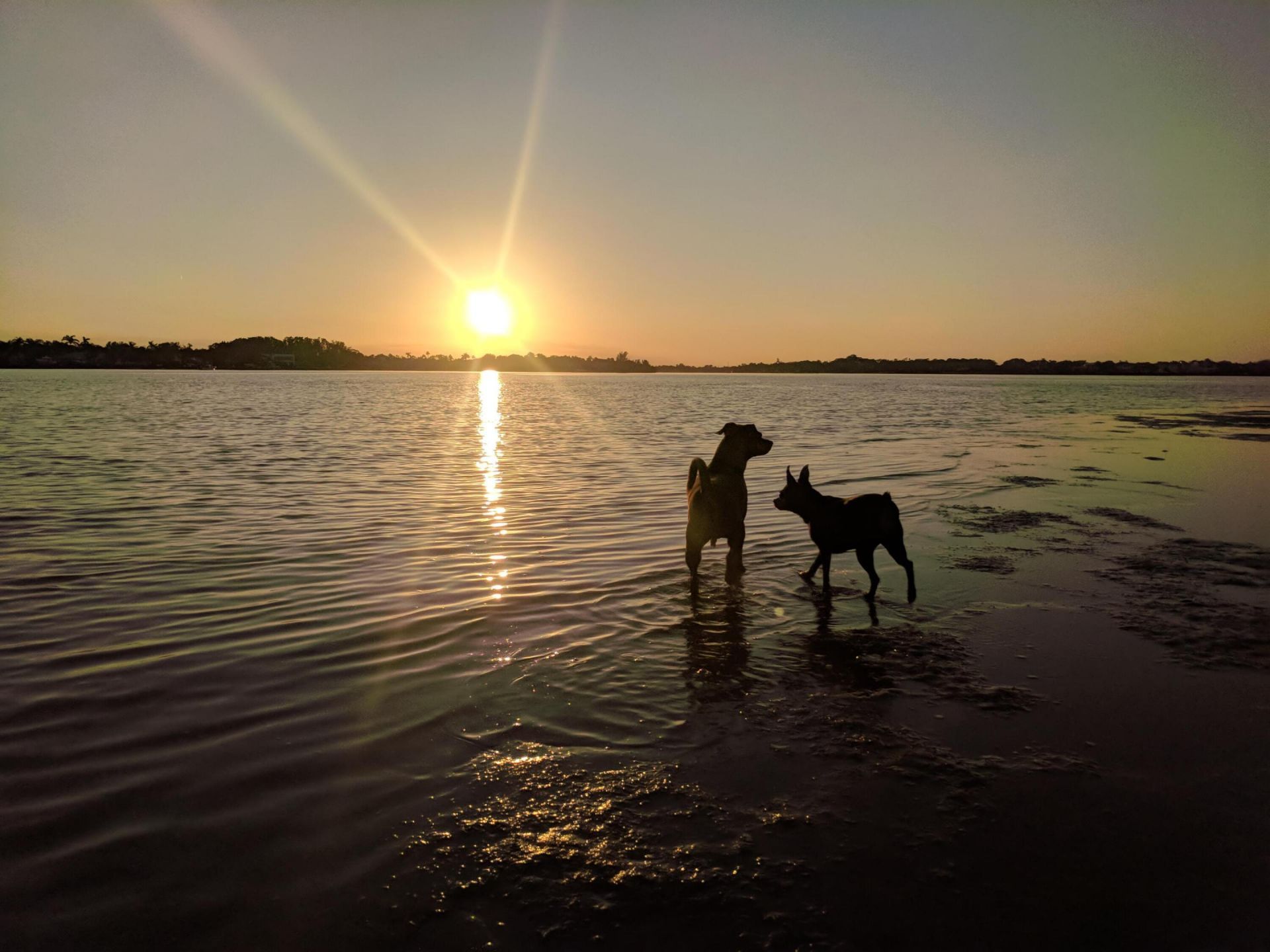 6375 Riverwalk Lane, Unit 4, Jupiter, FL 33458 Photo