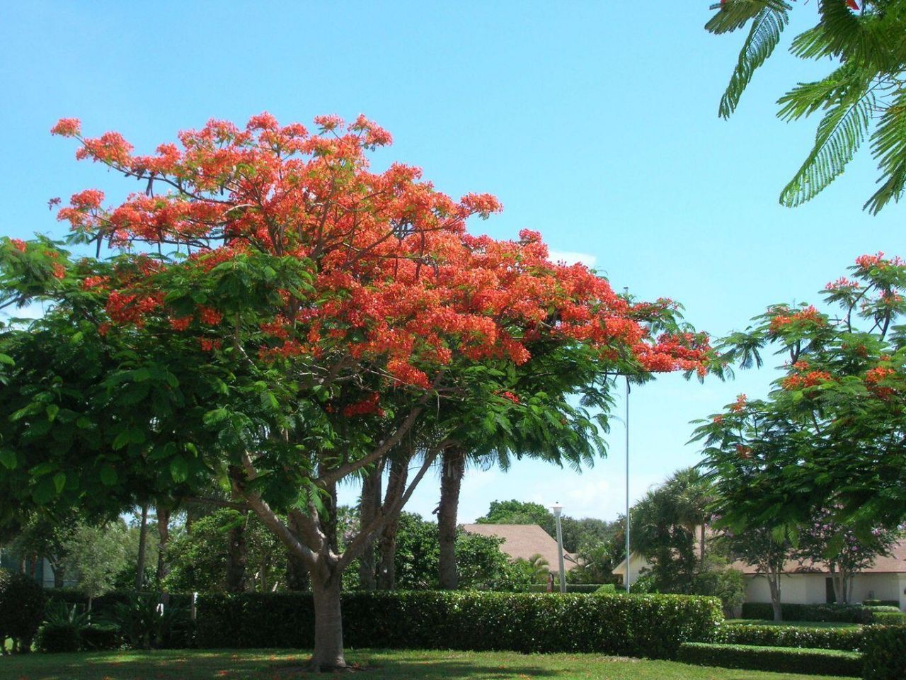 3236 32nd Court, Jupiter, FL 33477 Photo