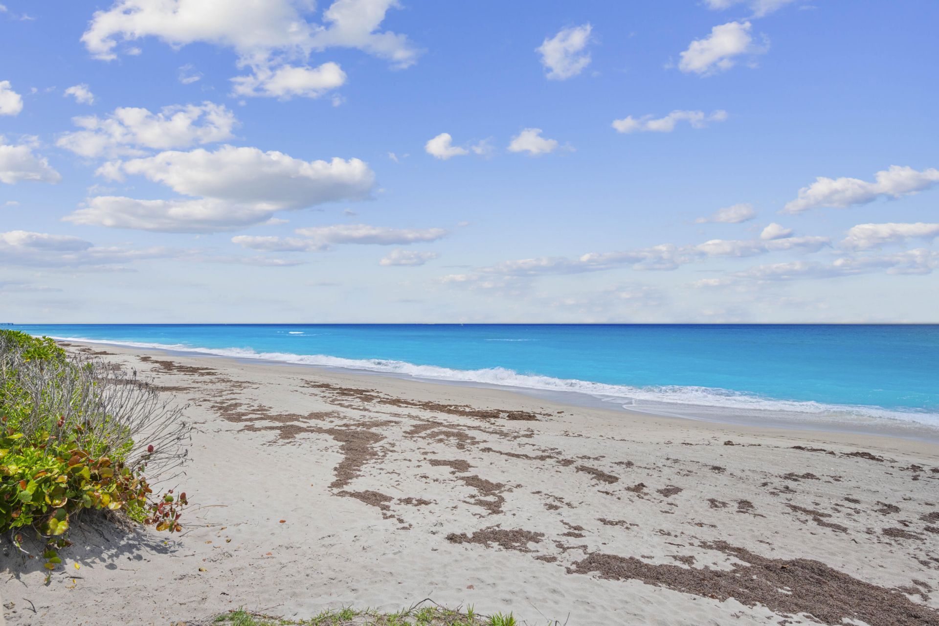 500 Ocean Drive, Unit E-8c, Juno Beach, FL 33408 Photo