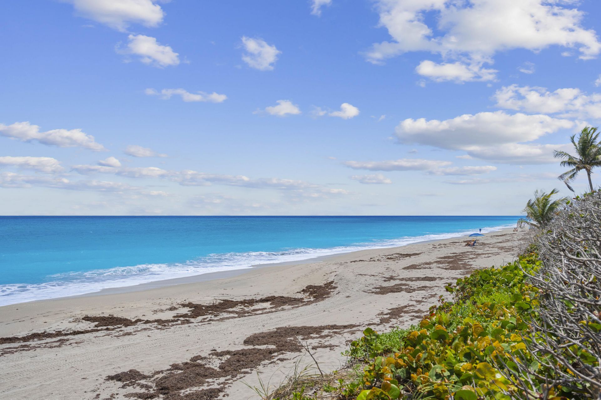 500 Ocean Drive, Unit E-8c, Juno Beach, FL 33408 Photo