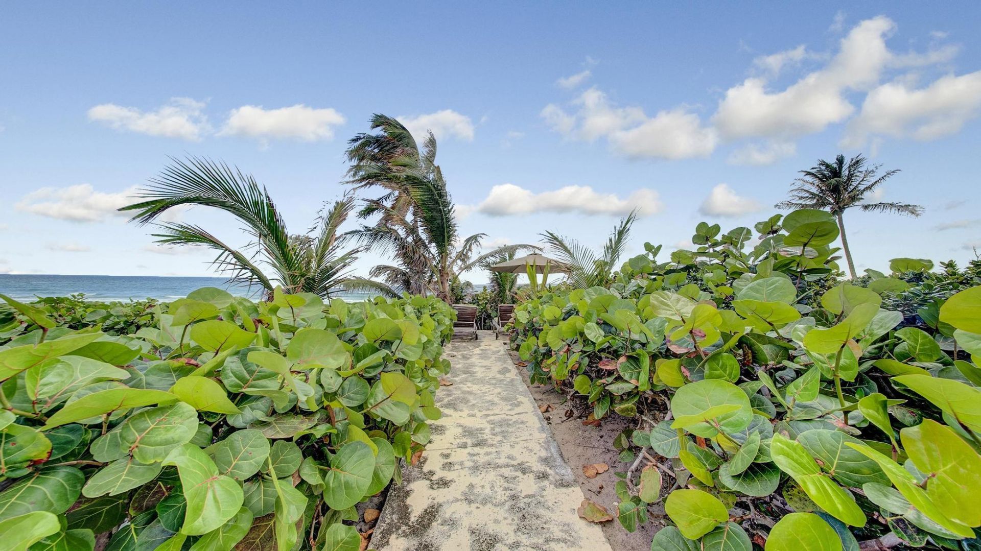 3421 S Ocean Boulevard, Unit 3, Highland Beach, FL 33487 Photo