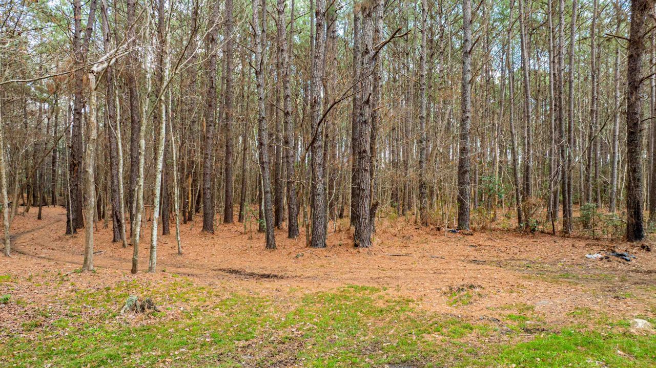 316 Tomahawk St. Photo 31