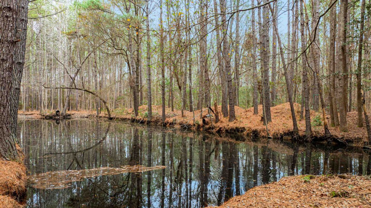 316 Tomahawk St. Photo 33