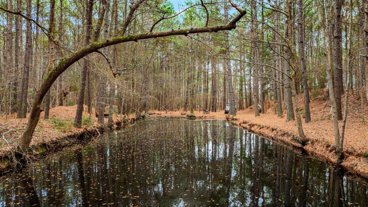 316 Tomahawk St. Photo 34