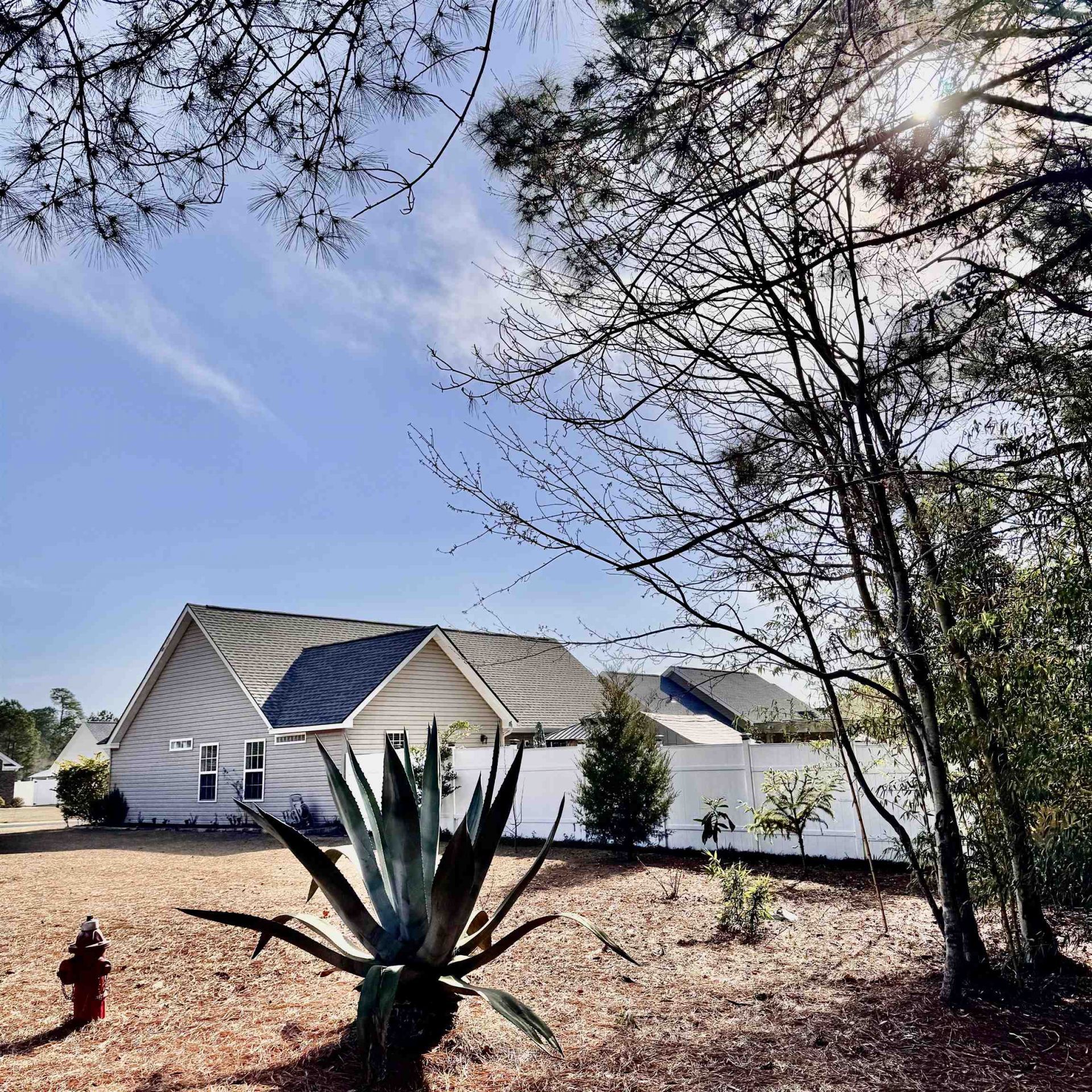 434 Barton Loop Photo 10