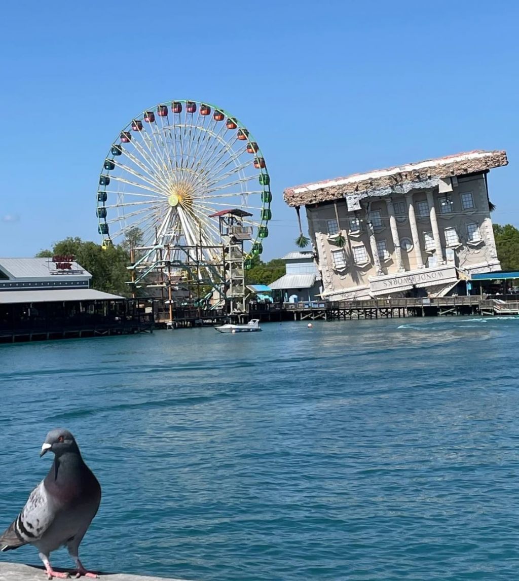 434 Barton Loop Photo 50