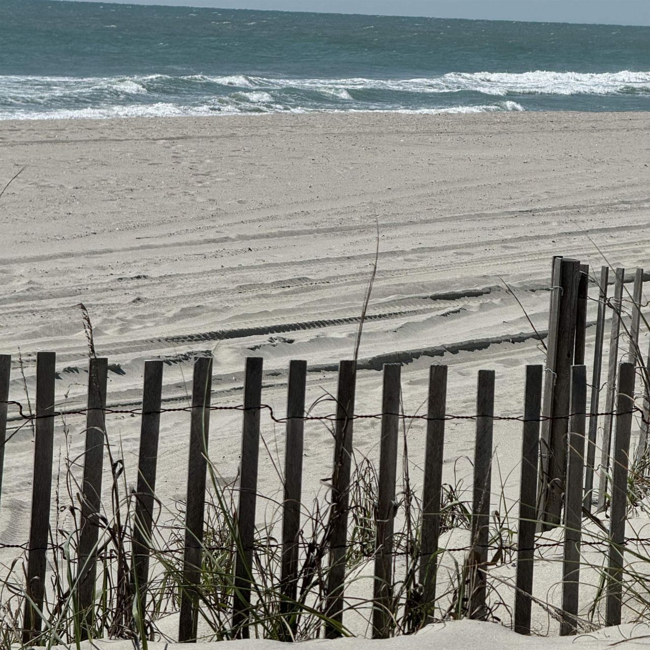 434 Barton Loop Photo 51