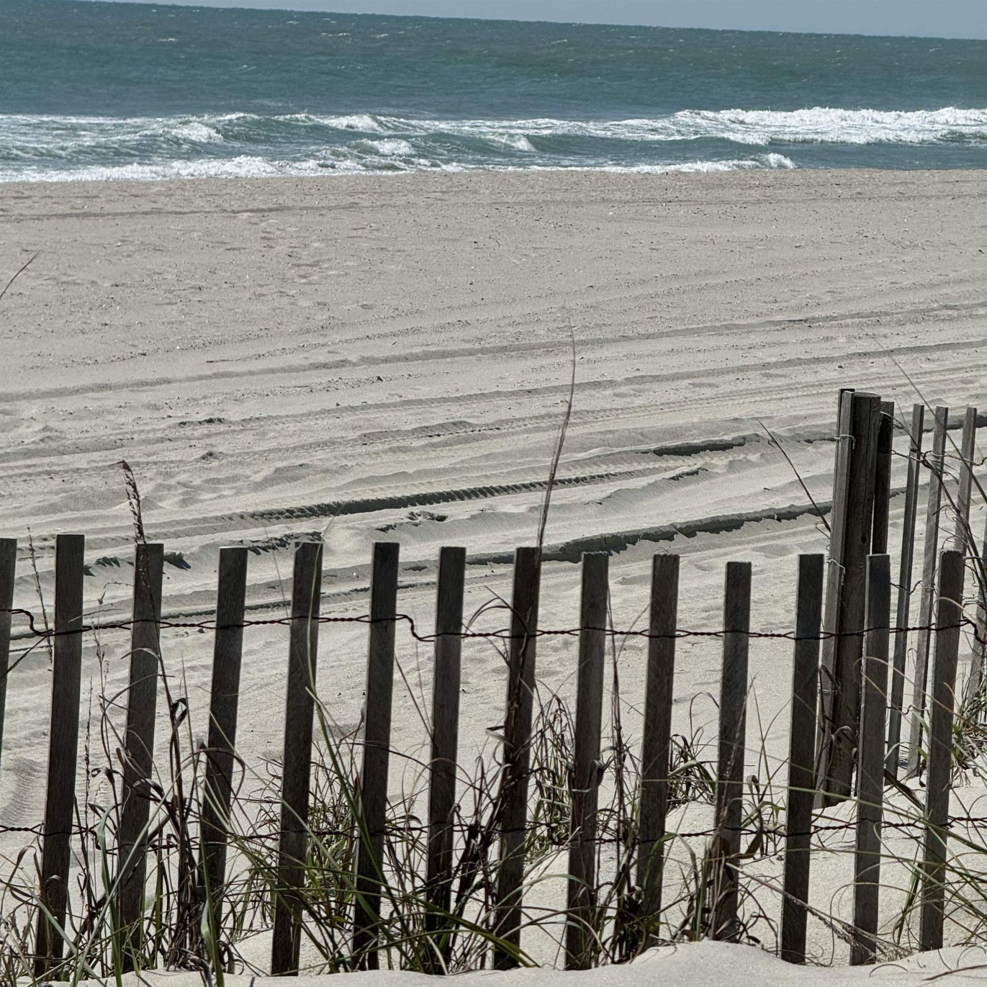 434 Barton Loop Photo 52