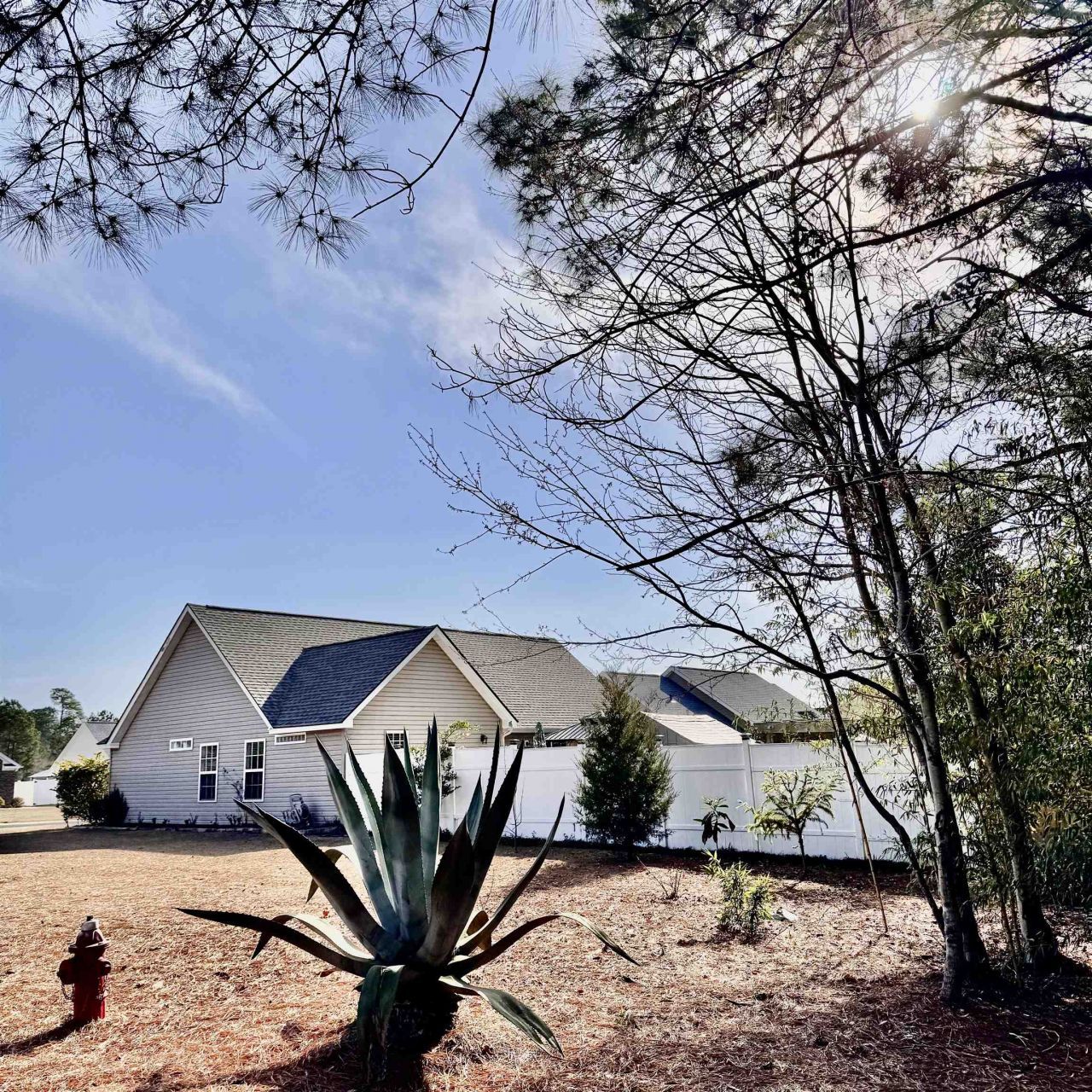 434 Barton Loop Photo 6