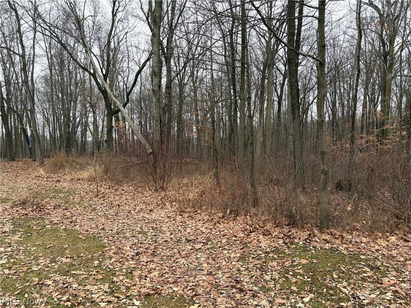 42082 Duquesne Street W, Columbiana, OH 44408 Photo 10