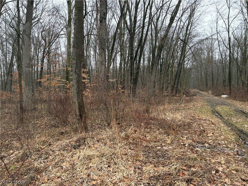 42082 Duquesne Street W, Columbiana, OH 44408 Photo 11