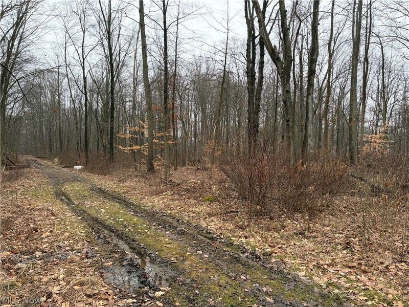 42082 Duquesne Street W, Columbiana, OH 44408 Photo 12