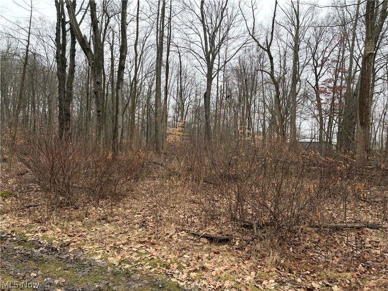 42082 Duquesne Street W, Columbiana, OH 44408 Photo 13