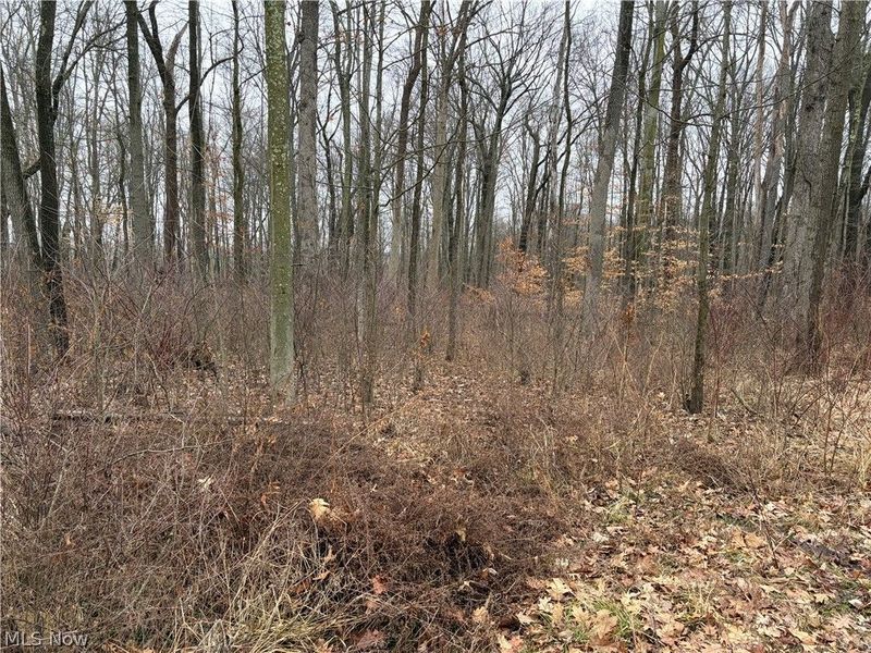 42082 Duquesne Street W, Columbiana, OH 44408 Photo 14