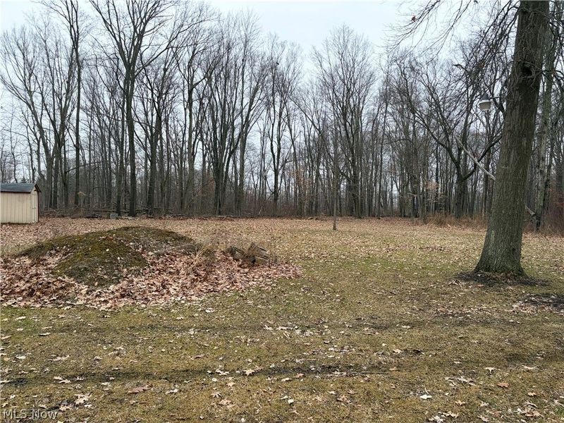 42082 Duquesne Street W, Columbiana, OH 44408 Photo 15