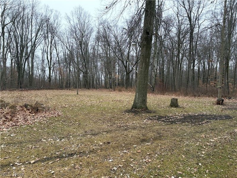 42082 Duquesne Street W, Columbiana, OH 44408 Photo 16