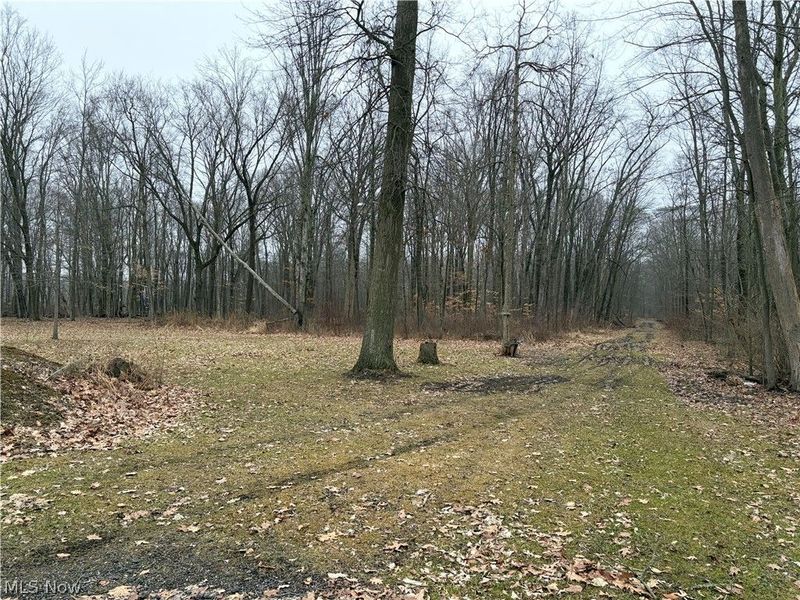 42082 Duquesne Street W, Columbiana, OH 44408 Photo 17