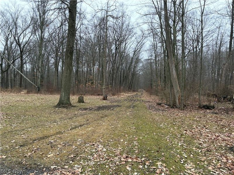 42082 Duquesne Street W, Columbiana, OH 44408 Photo 18