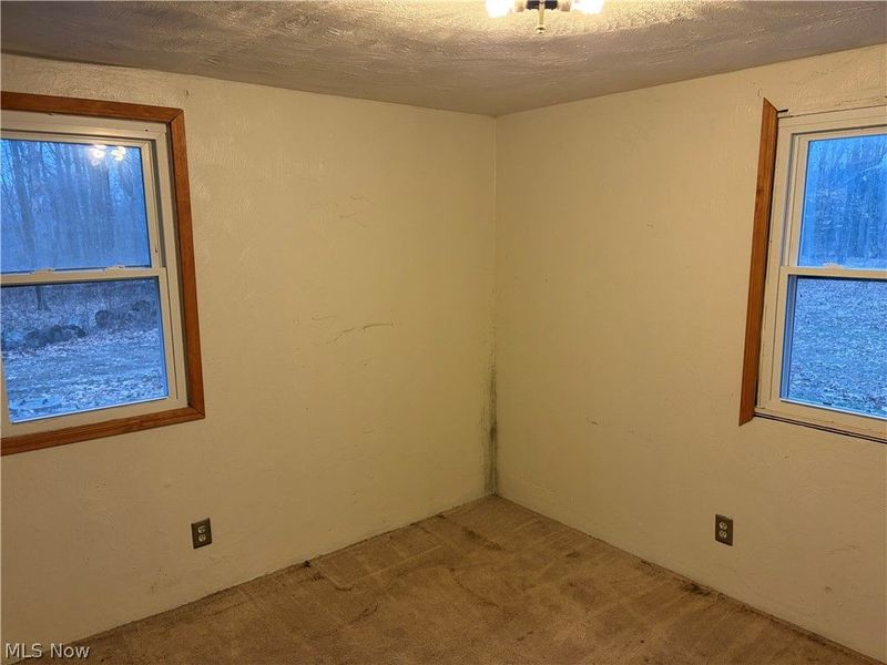 42082 Duquesne Street W, Columbiana, OH 44408 Photo 23