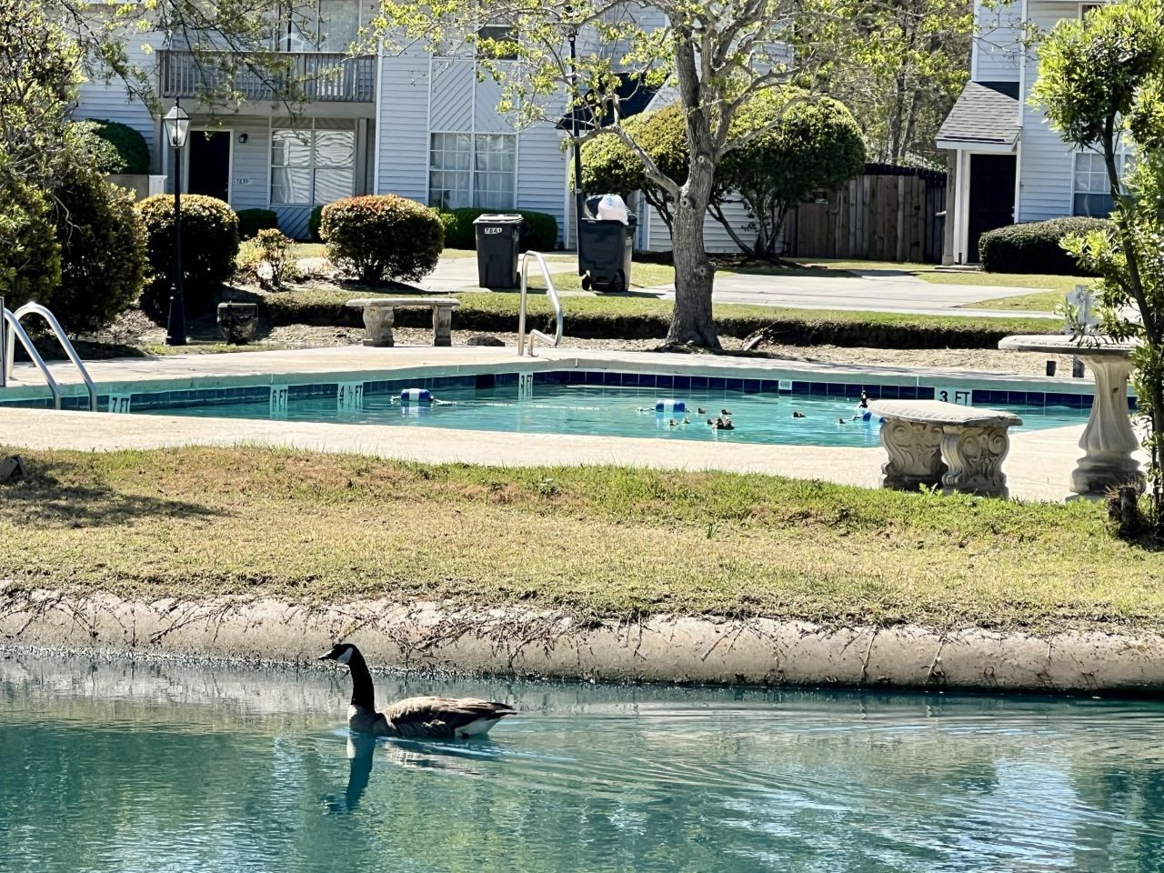 7870 Nummie Court Photo 27