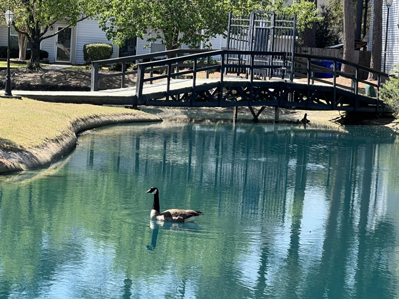 7870 Nummie Court Photo 28