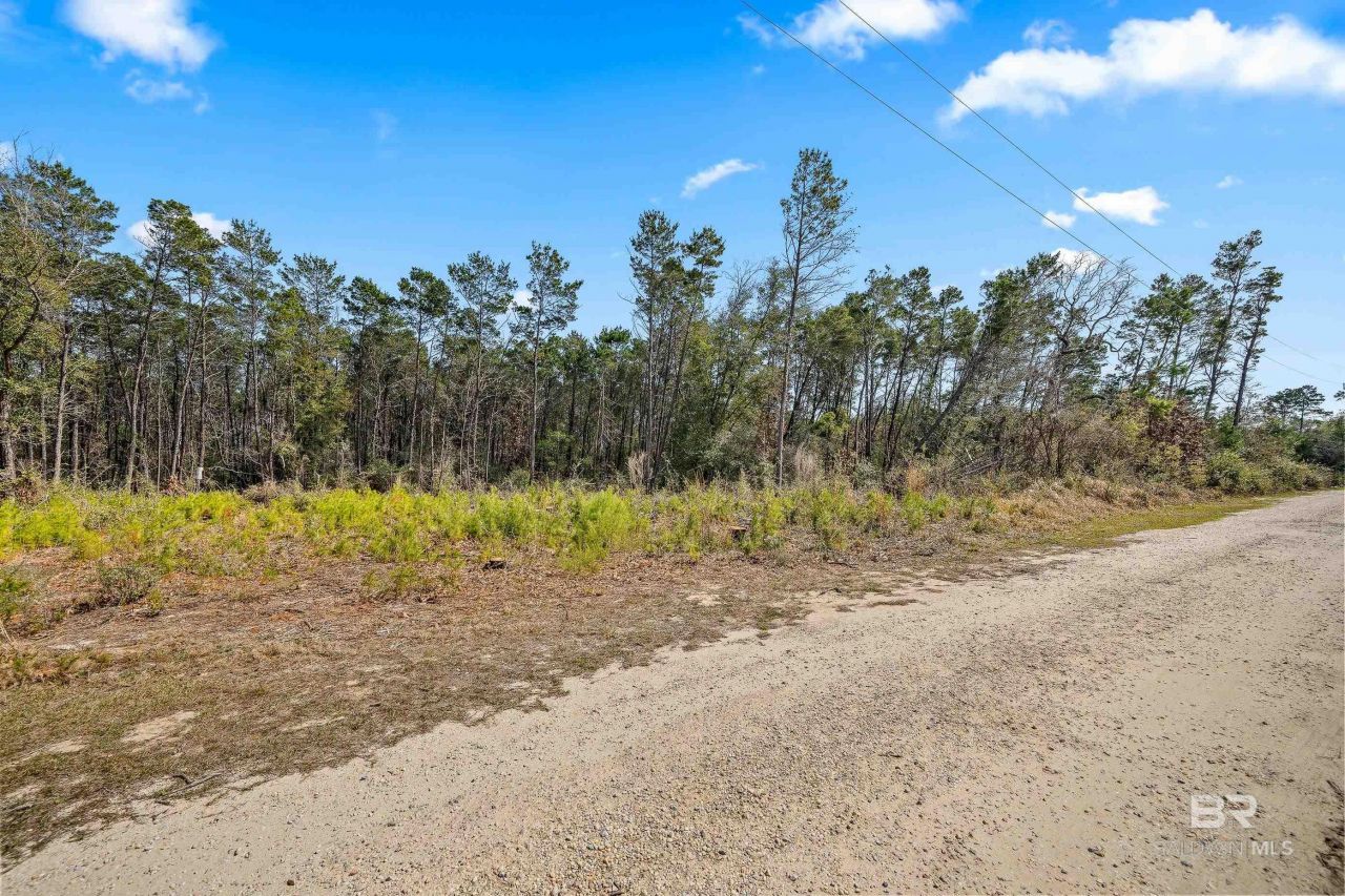 0 Primrose Lane, Gulf Shores, AL 36542 Main Photo