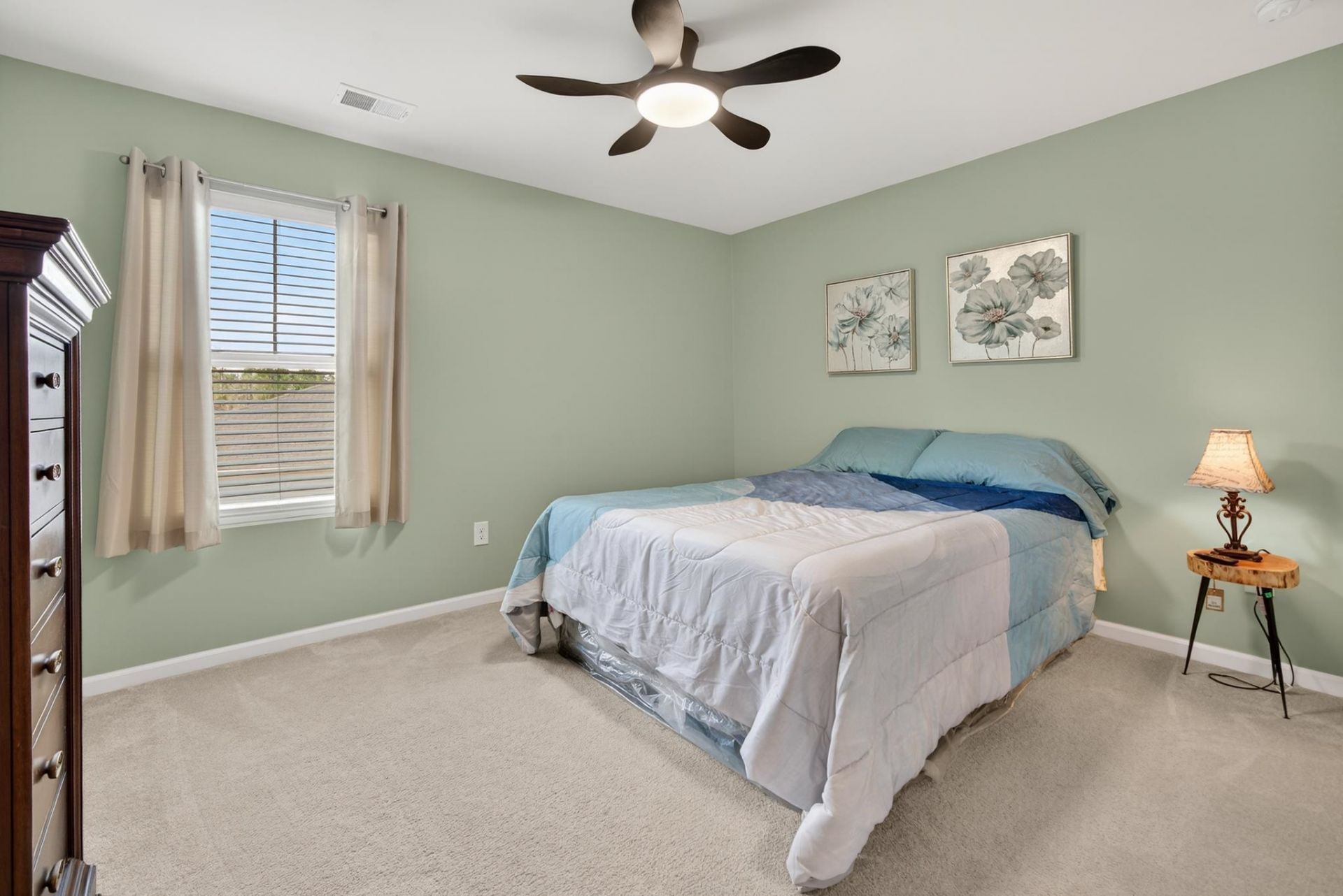 225 Cypress Tree Loop Photo 30