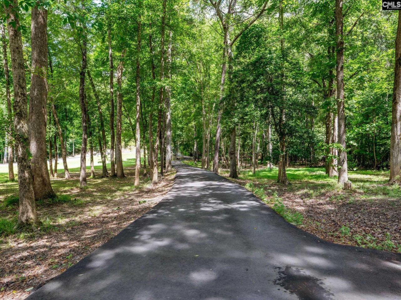 887 Living Waters Drive  Photo 35