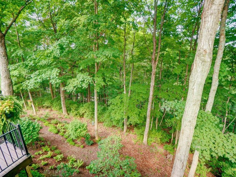 149 Overlook Drive, Loveland, OH 45140 Photo 68