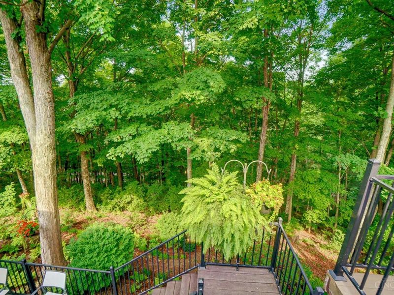 149 Overlook Drive, Loveland, OH 45140 Photo 69