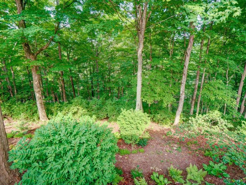 149 Overlook Drive, Loveland, OH 45140 Photo 70