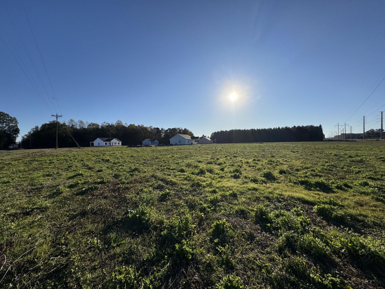 691 Winningham Road Photo 7