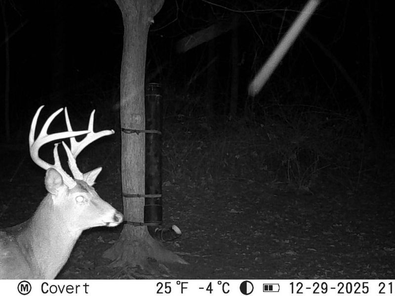 10050 Perryton Road , Frazeysburg, OH 43822 Photo 44