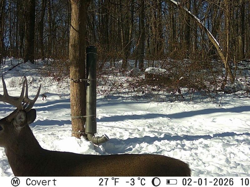 10050 Perryton Road , Frazeysburg, OH 43822 Photo 47