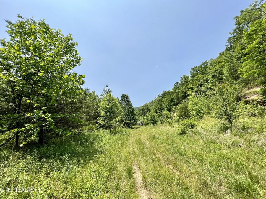Property Image 25
