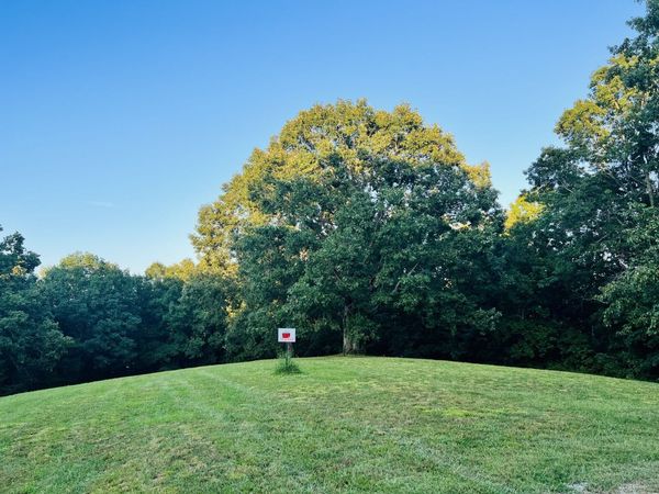 545 Deepwood Drive, Waverly, TN 37185