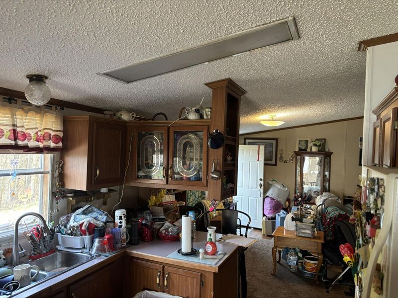 1823 Liberty Ridge Road, Falmouth, KY 41040 Photo 8